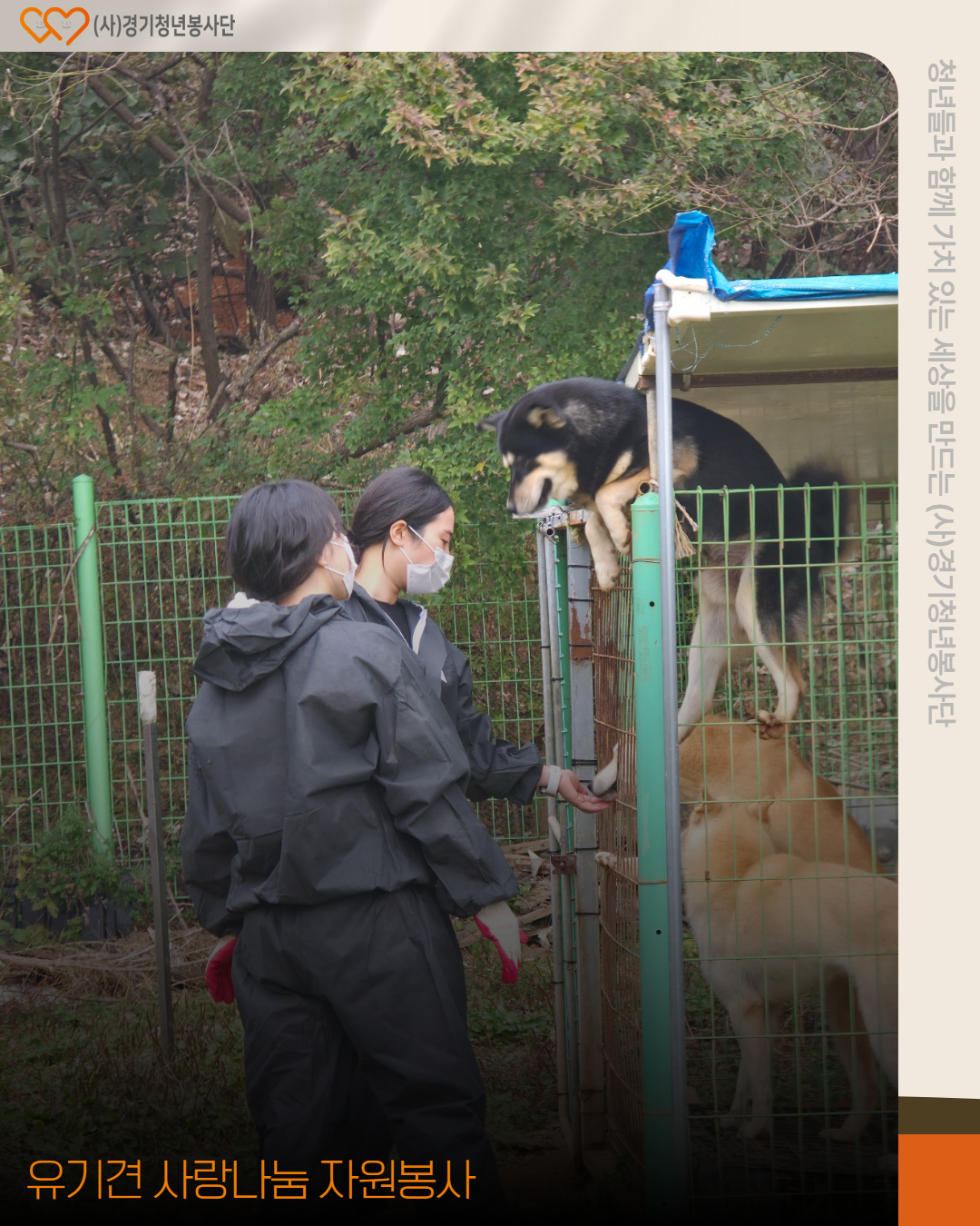 308be0eb455a52c77cbb638502c991be_1764947860_7758.jpg 308be0eb455a52c77cbb638502c991be_1764947860_7758.jpg