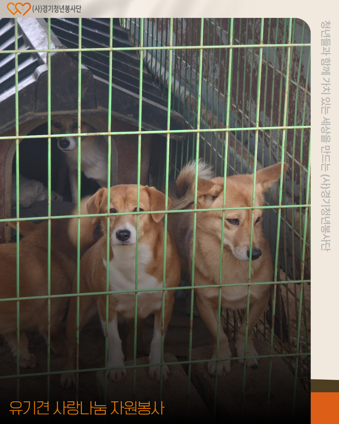 308be0eb455a52c77cbb638502c991be_1764947879_5993.jpg 308be0eb455a52c77cbb638502c991be_1764947879_5993.jpg