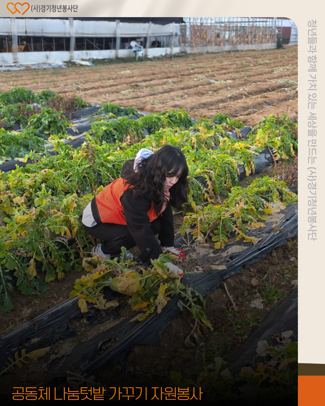 308be0eb455a52c77cbb638502c991be_1764948204_7204.jpg 308be0eb455a52c77cbb638502c991be_1764948204_7204.jpg