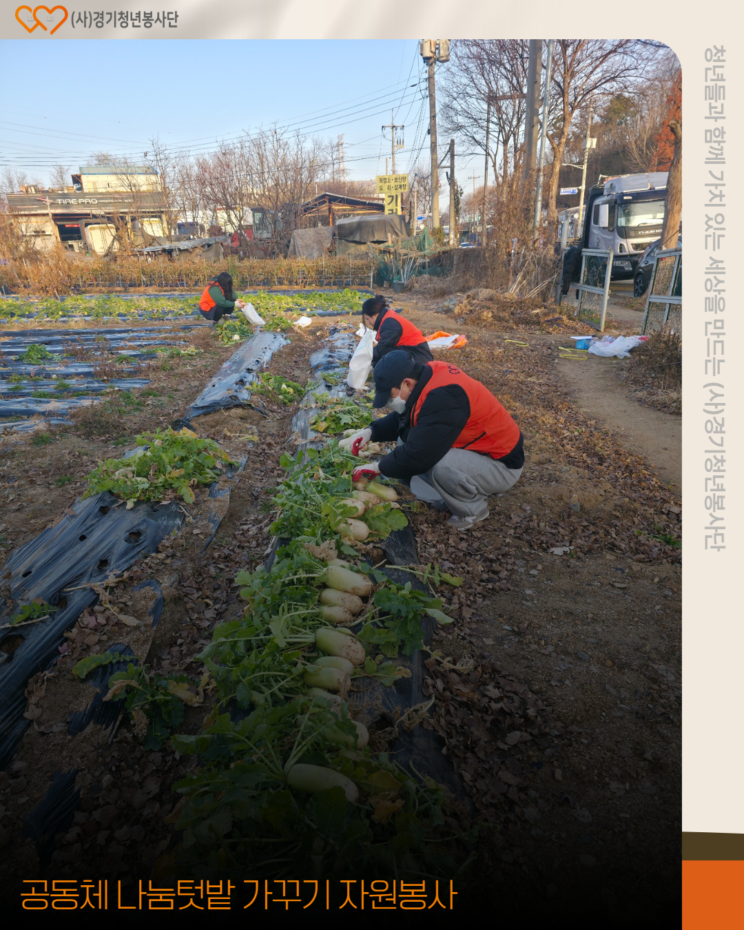 308be0eb455a52c77cbb638502c991be_1764948226_9032.jpg 308be0eb455a52c77cbb638502c991be_1764948226_9032.jpg