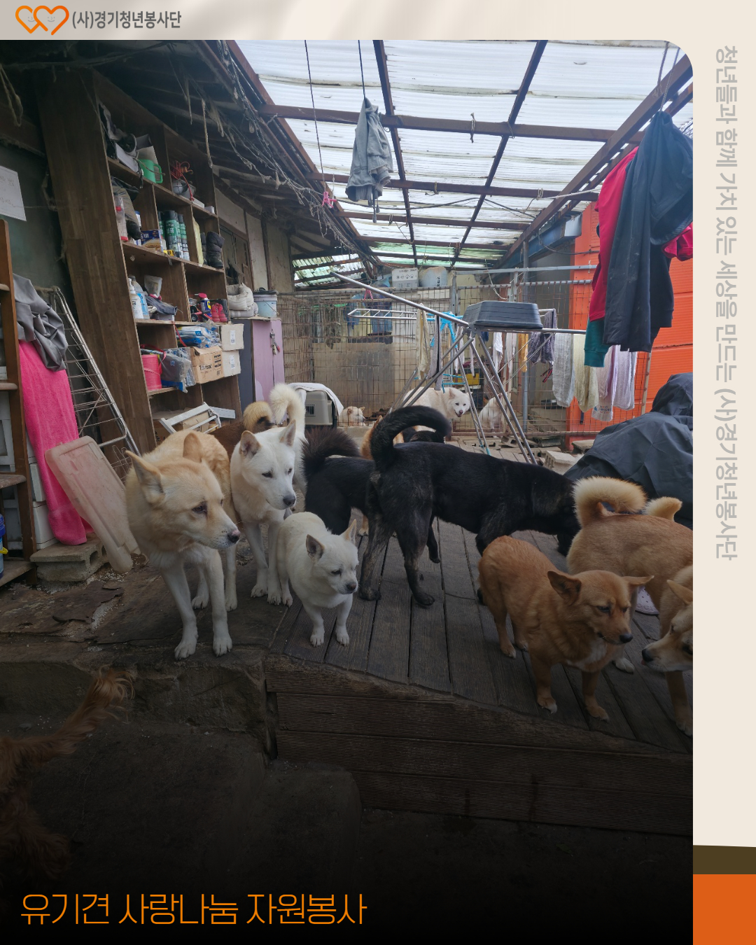 e3029fe43fc04eedd81df608ac67c735_1765216374_3959.jpg e3029fe43fc04eedd81df608ac67c735_1765216374_3959.jpg