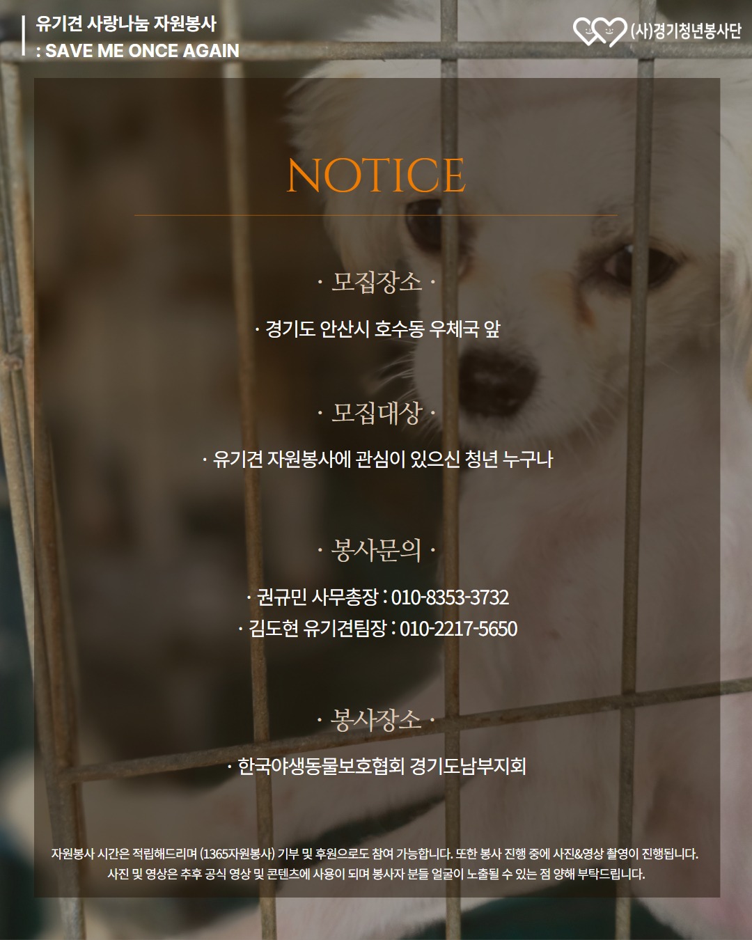 2026_08_08_유기견봉사자모집_상세.jpg