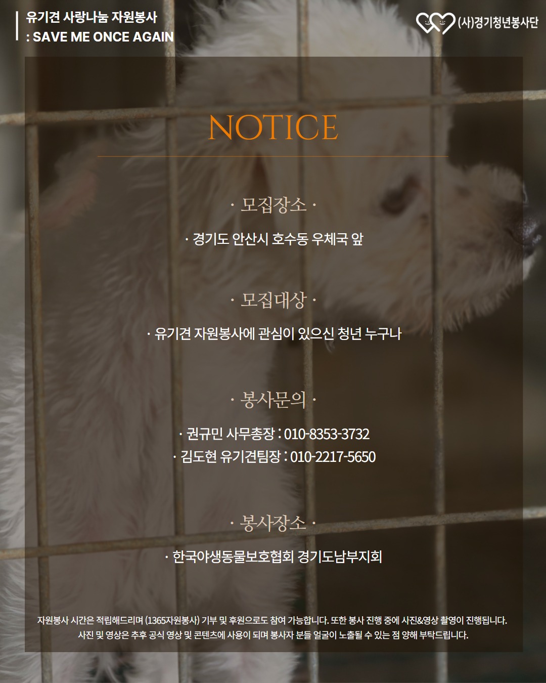 2026_09_05_유기견_봉사자모집_상세.jpg