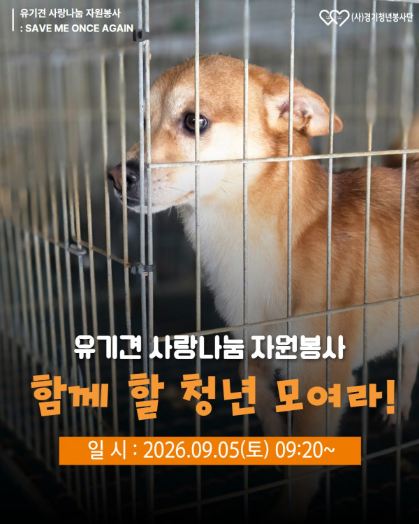 2026_09_05_유기견_봉사자모집.jpg